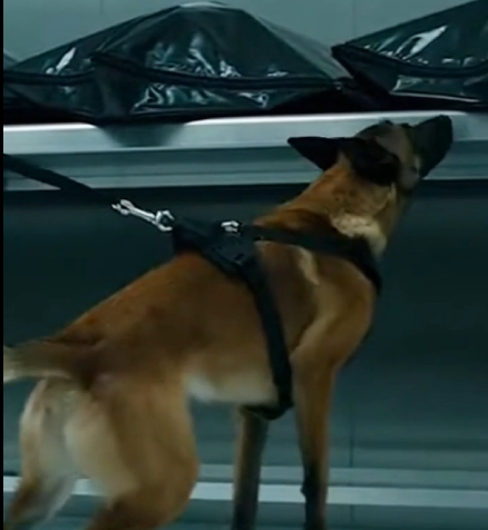 She Woke Up In A Morgue — And The Woman Who Found Her Got The Shock Of Her Life